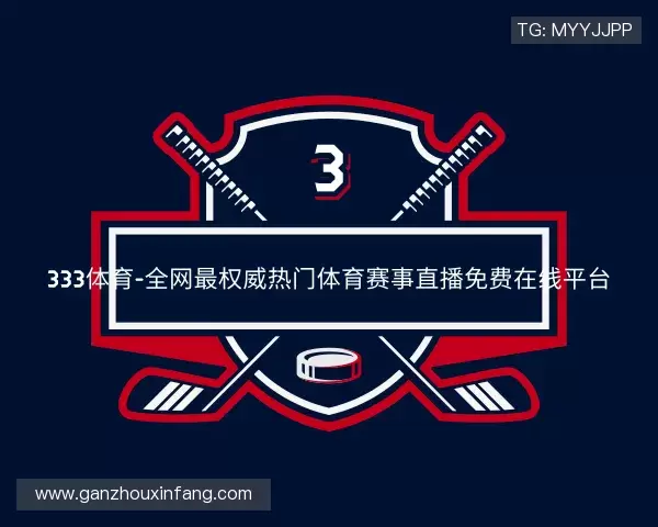 认识333体育
