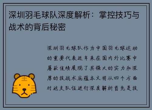 深圳羽毛球队深度解析：掌控技巧与战术的背后秘密