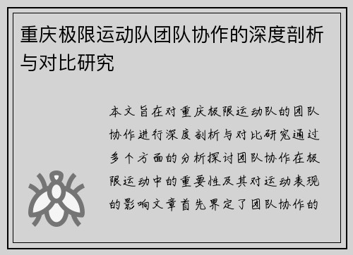 重庆极限运动队团队协作的深度剖析与对比研究