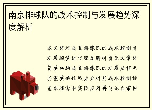 南京排球队的战术控制与发展趋势深度解析